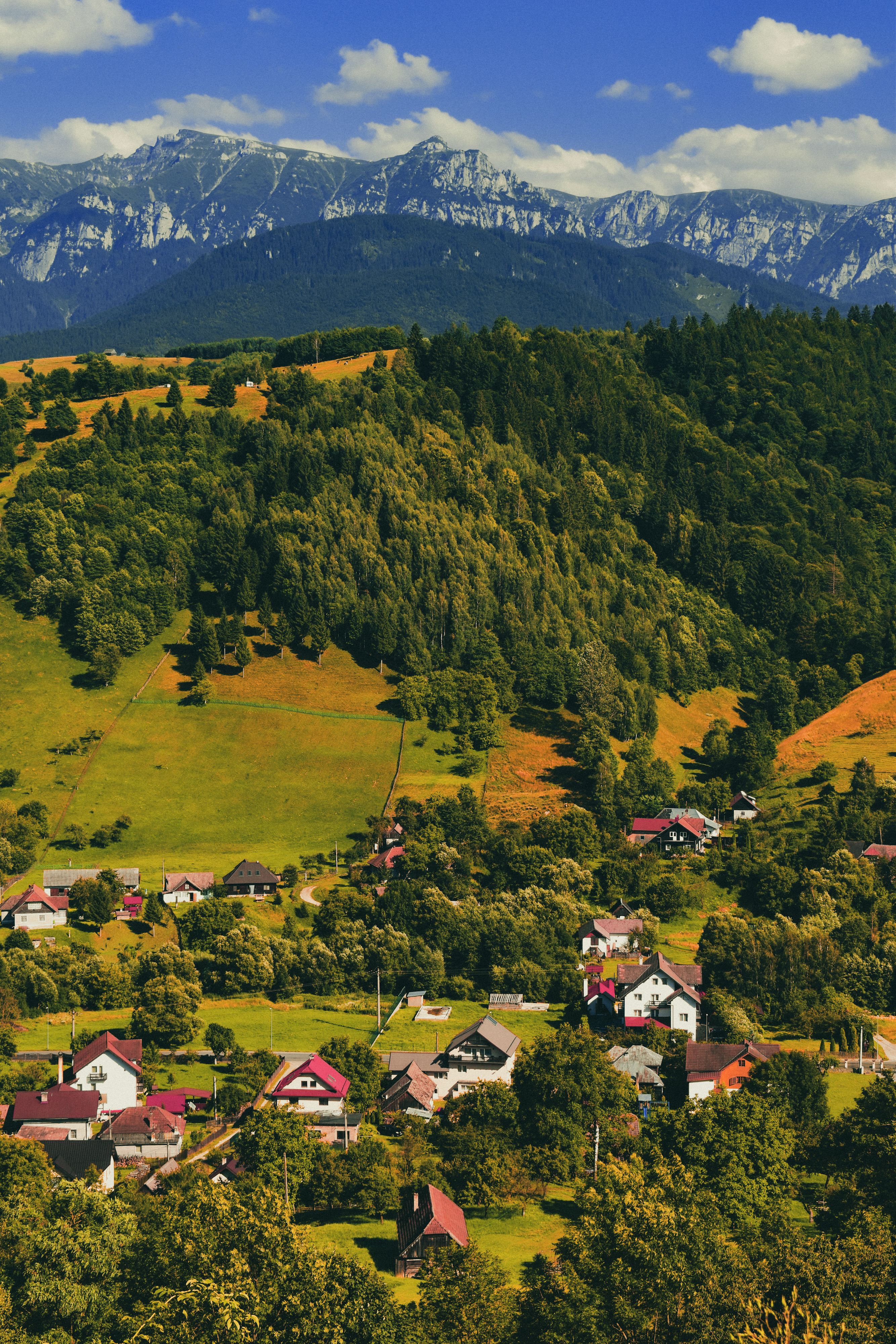 Bucovina, România