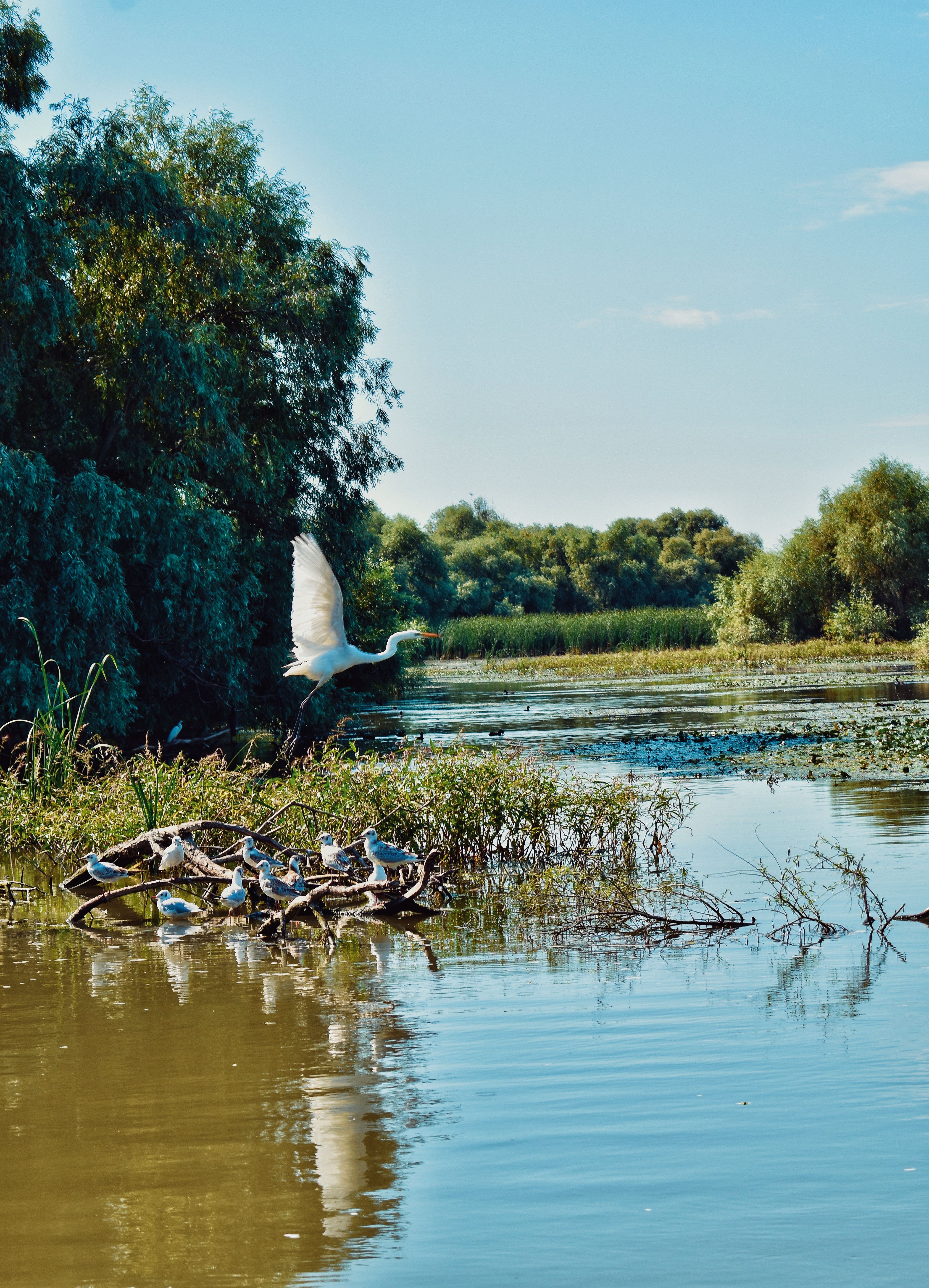 Delta Dunării, România
