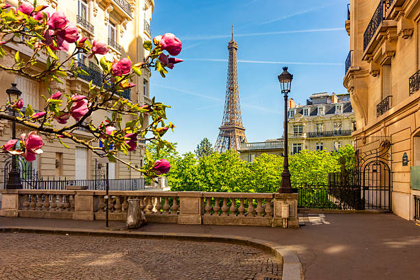 Paris, Franța